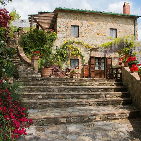 Podere Piandicava Castelnuovo di Val di Cecina Esterno foto