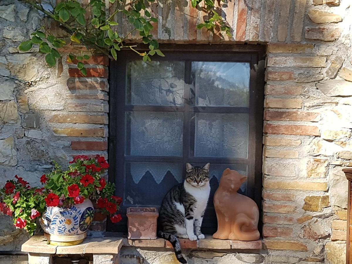 Podere Piandicava Castelnuovo di Val di Cecina Esterno foto