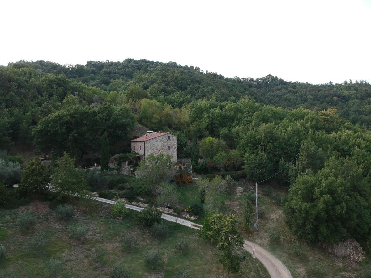 Podere Piandicava Castelnuovo di Val di Cecina Esterno foto