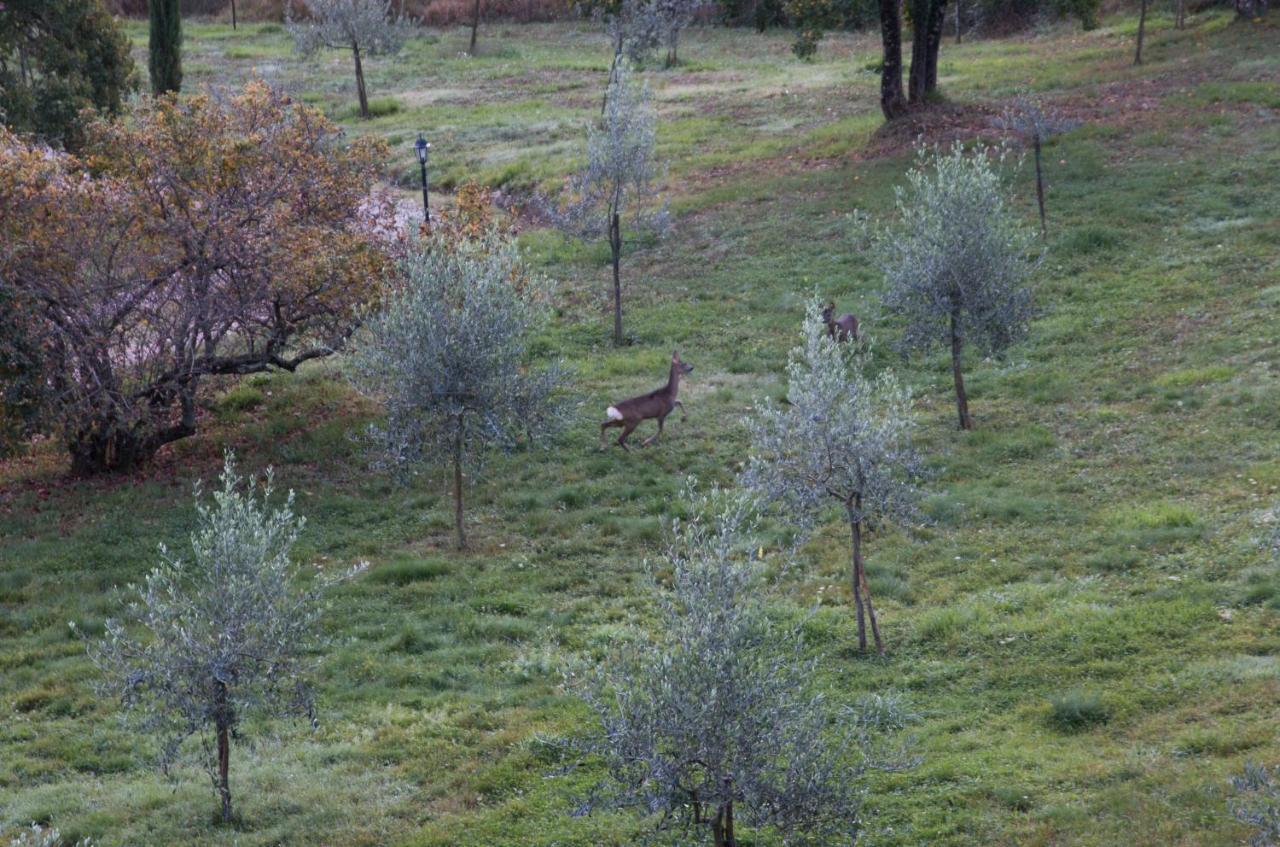 Podere Piandicava Castelnuovo di Val di Cecina Esterno foto