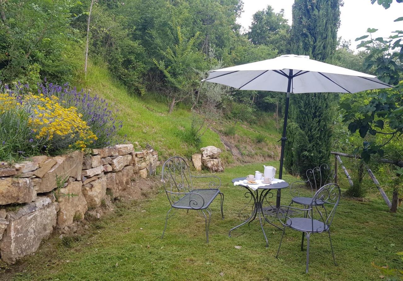 Podere Piandicava Castelnuovo di Val di Cecina Esterno foto