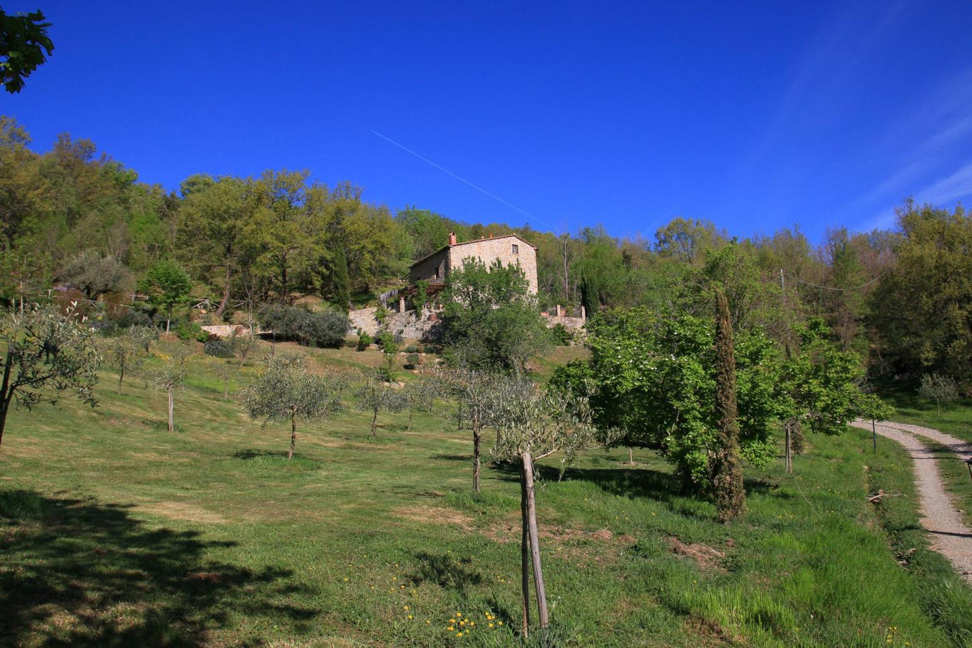 Podere Piandicava Castelnuovo di Val di Cecina Esterno foto