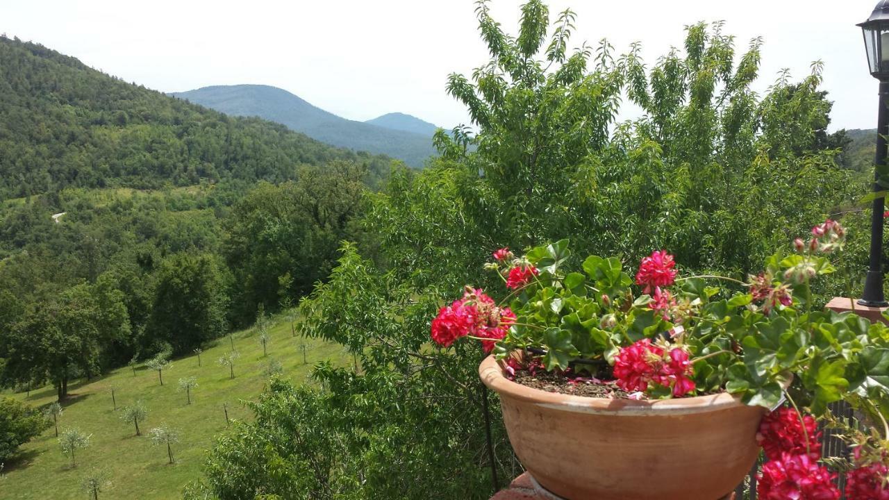 Podere Piandicava Castelnuovo di Val di Cecina Esterno foto