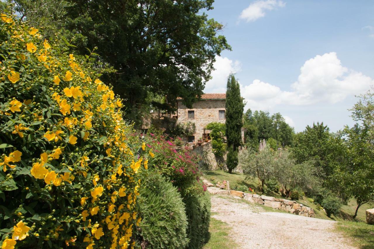 Podere Piandicava Castelnuovo di Val di Cecina Esterno foto